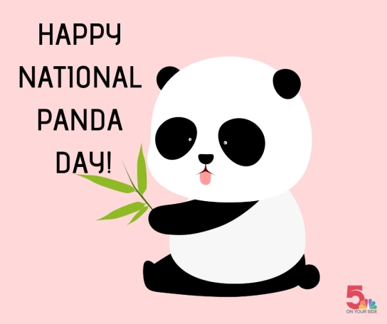 HAPPY NATIONAL PANDA DAY!