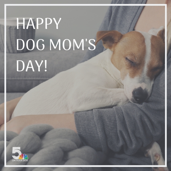 HAPPY DOG MOM'S DAY! (1).jpg